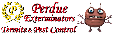 Exterminators | Pest Control Company | Roanoke VA